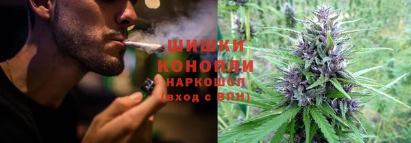 mdpv Краснослободск